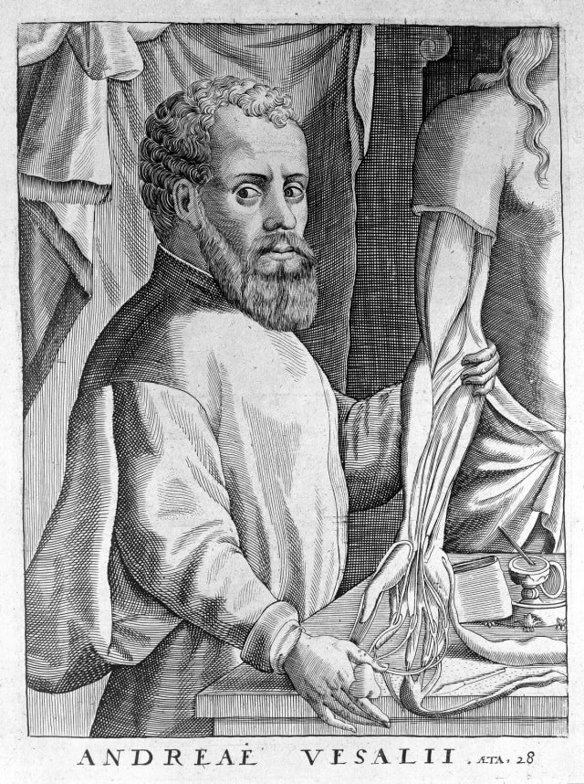 Andreas Vesalius : la Fabrica (1543) et la naissance de l&rsquo;anatomie moderne