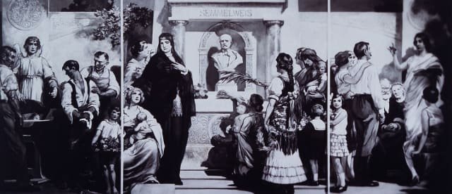 Ignaz Semmelweis : le « sauveur des mères » rejeté de Vienne (1847)