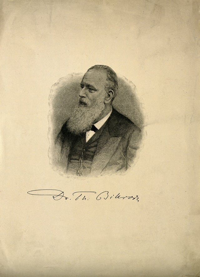 Theodor Billroth : la premiere gastrectomie reussie (1881) et la chirurgie viscerale moderne